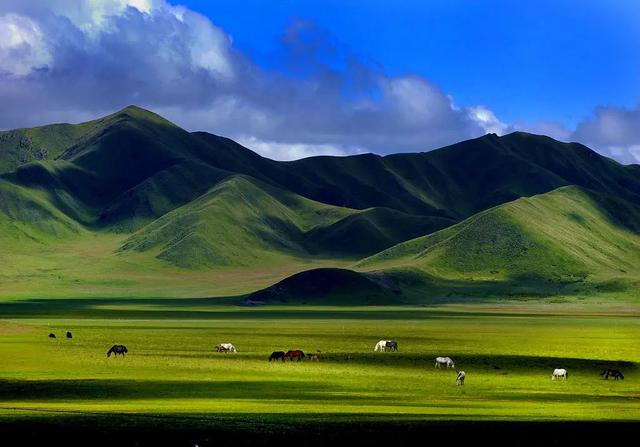 在中国辽阔的大地上,  有雄伟的高原