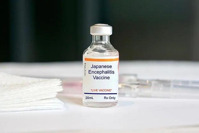 澳洲推出日本脑炎疫苗，猪肉可以平安食用，不外冬季仍要防蚊 第1张图片