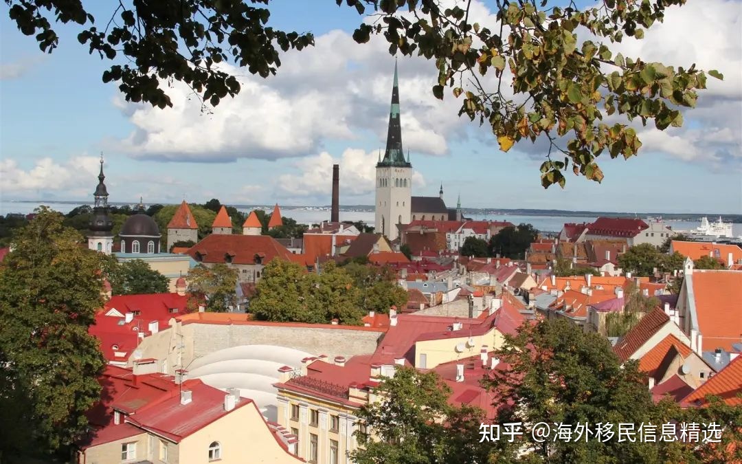 2022年爱沙尼亚 5 年居留卡项目 第2张图片