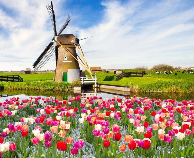 风车之国荷兰 第3张图片