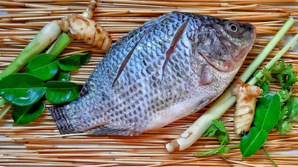 美国40岁妈妈吃了未熟的罗非鱼，被迫截去手脚险丢命，有种细菌当警戒 第5张图片