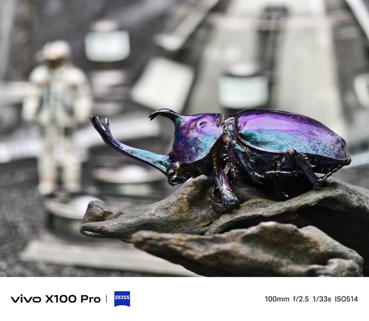 vivo X100 Pro相机体验 全焦段全场景标杆表示 第9张图片