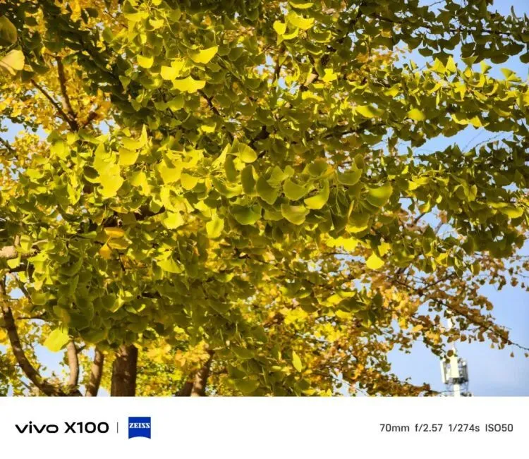 日月同天，天玑无穷：vivo X100系列重新界说影象天花板 第7张图片